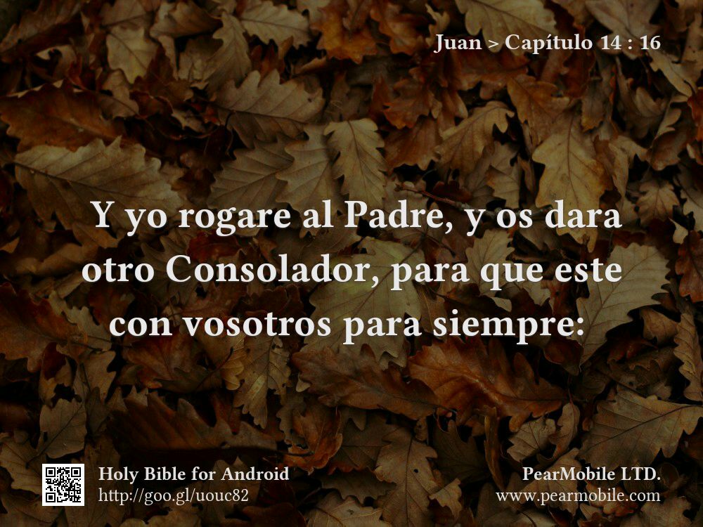 Juan, Capítulo 14:16